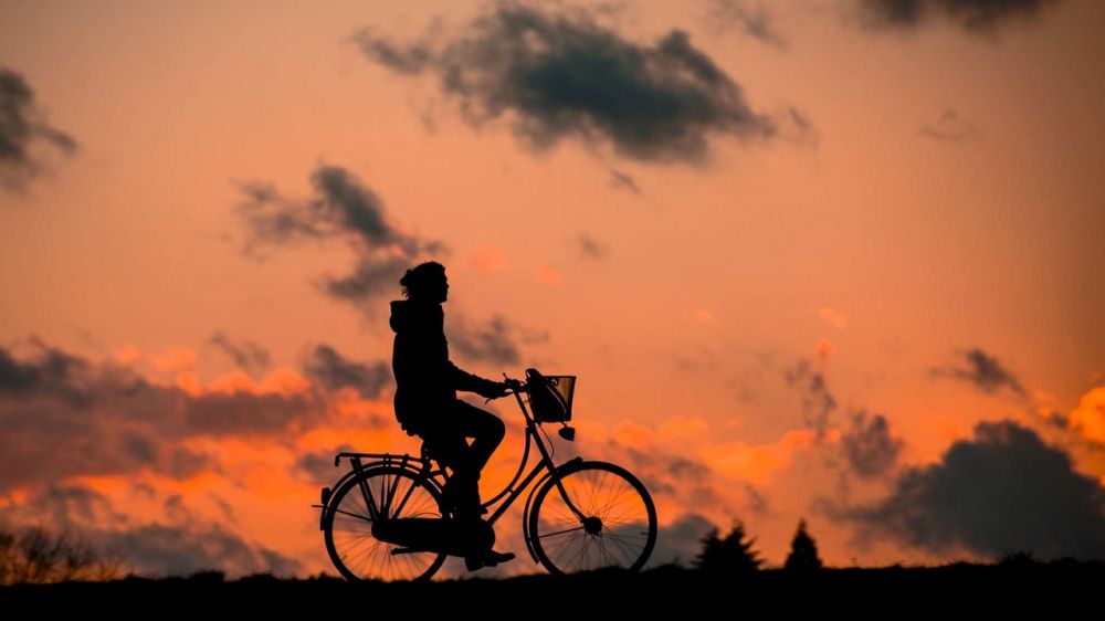 DM cykling: Et indblik i Danmarks mest prestigefyldte cykelløb